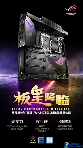 ʽ٣˶ROG DOMINUS EXTREME彫 