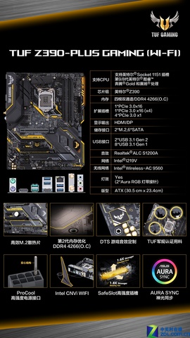 ApexӢɱ ˶Z390羺ع忪ѧ 